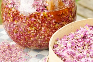 Les Douces Angevines - macérât rose Les Douces Angevines - macérât rose