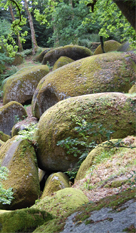 Le Huelgoat Nominoë Le Huelgoat Nominoë