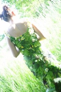 n°26 de dos300 n°26 de dos300