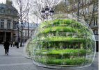 Ma bulle, ma plante et moi