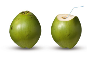 Coco détouré300 Coco détouré300