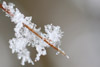 Nos soins chouchous de l’hiver