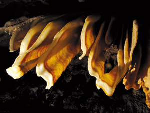 P7_-®_FABRIOL2 P7_-®_FABRIOL2