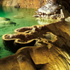 L’ incroyable aventure souterraine