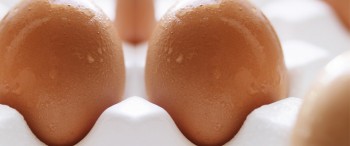 Article Diapo bouffe Sept12