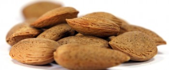 Article Douce Amande