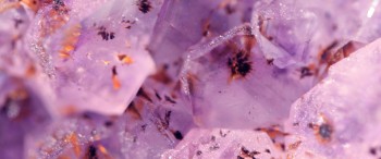 Article decouverte litho