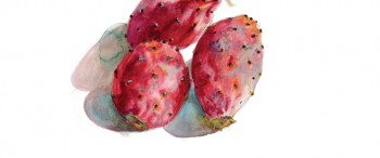 Article Beaute Orient