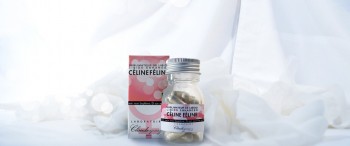 Article ClaudeClaude