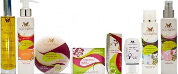 Article Fee en provence