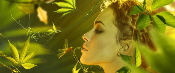 Diapo-PepiteTouteBeaute-original