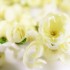 AMBIANCE JASMIN 1