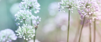 A la Une livres Octobre